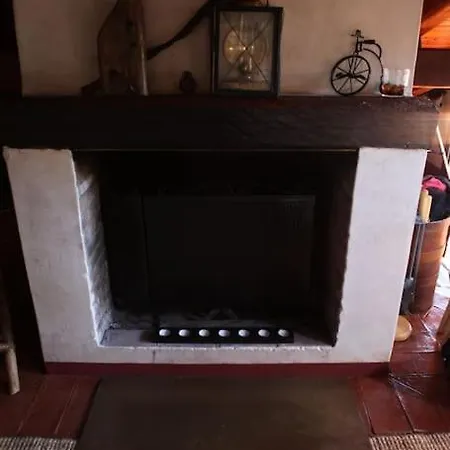 La Casa De Pajaritas *