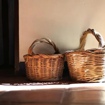 La Casa De Pajaritas * 帕萨若