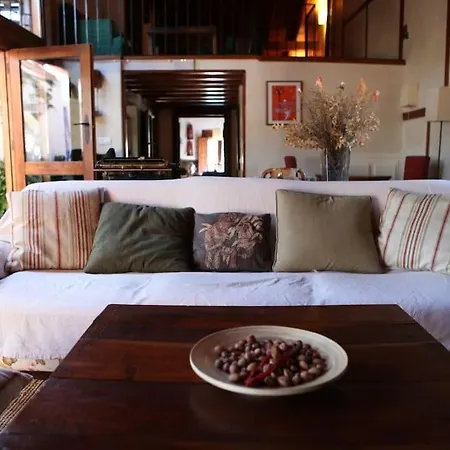 La Casa De Pajaritas *