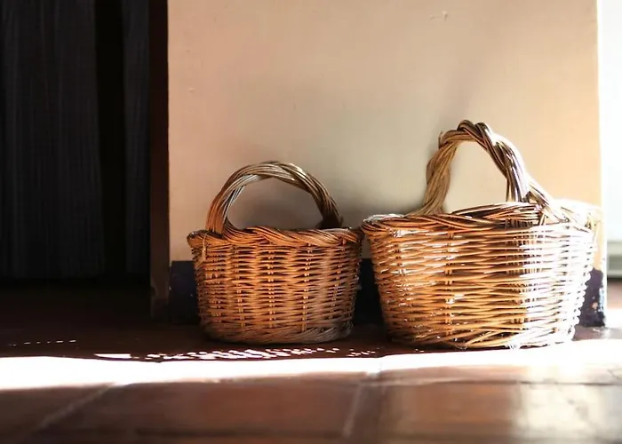 La Casa De Pajaritas * Pasarón